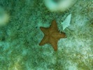 Photo 5 Bahamas 2012