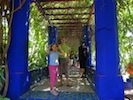 Photo du jardin Majorelle