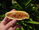 maracuja banane