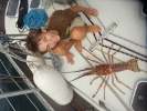 Langouste 1