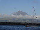 Le pico 2